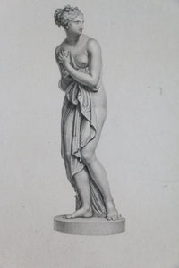 Venus Etching