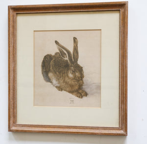 Framed Vintage Rabbit Drawing