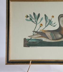 Vintage Bird Print