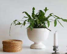 Load image into Gallery viewer, Vintage Mid Century Modern Ceramic Planter
