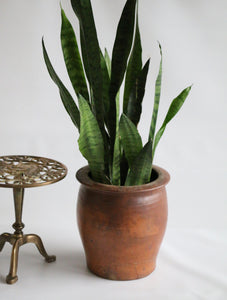 Antique Terracotta Planter /Vase Pottery