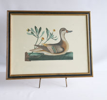 Load image into Gallery viewer, Vintage Bird Print
