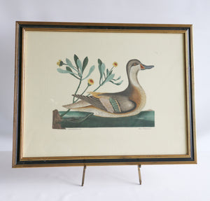 Vintage Bird Print