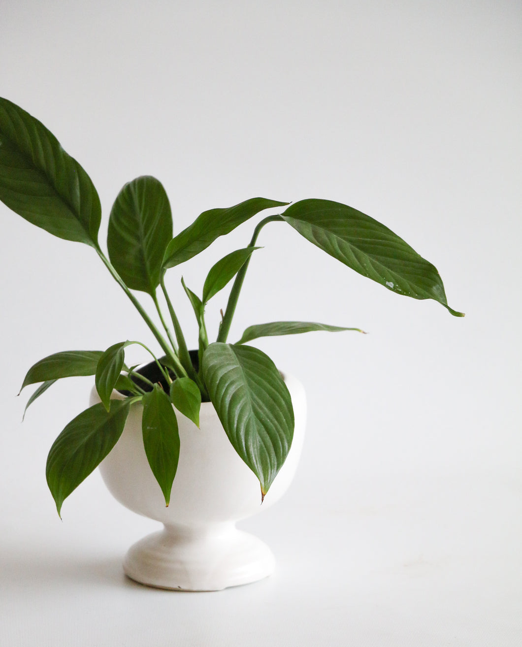 Vintage Mid Century Modern Ceramic Planter