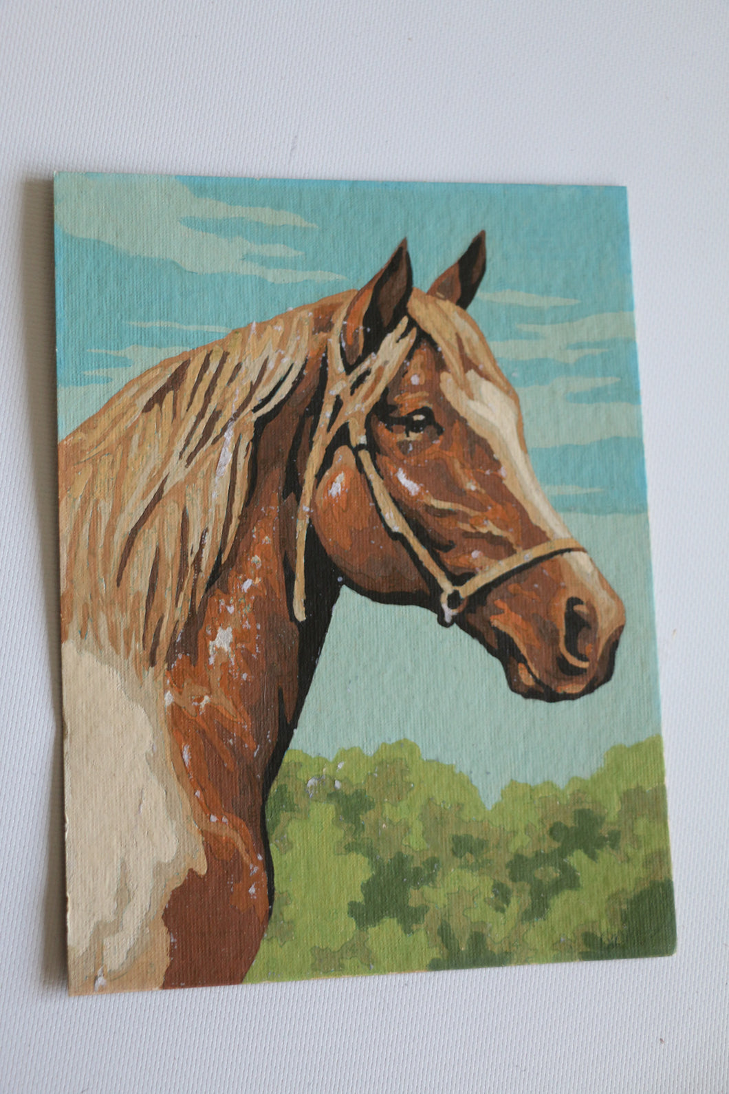 Horse Painting