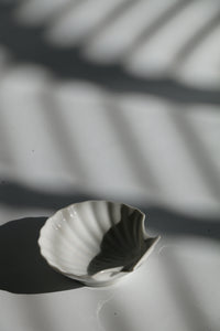 Ceramic Shell Dish