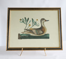 Load image into Gallery viewer, Vintage Bird Print
