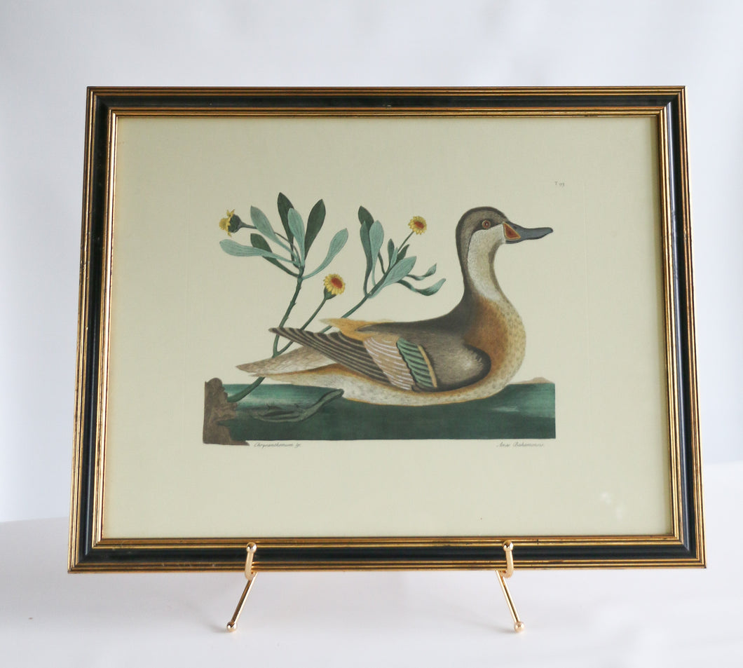 Vintage Bird Print