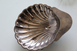 Shell Dish