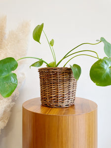 Woven Planter