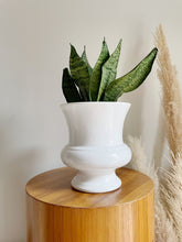 Load image into Gallery viewer, White Resin Planter
