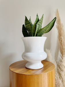 White Resin Planter