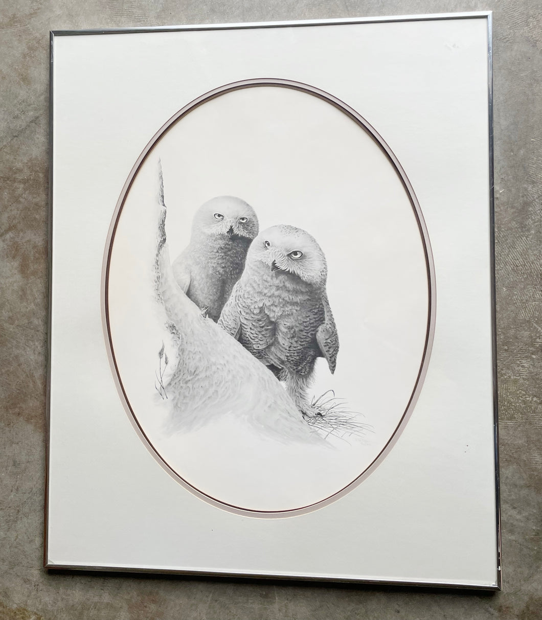 Framed Owl Print Signed by Robert Blair