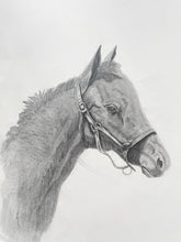 Load image into Gallery viewer, Original Horse Drawing
