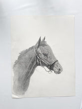 Load image into Gallery viewer, Original Horse Drawing
