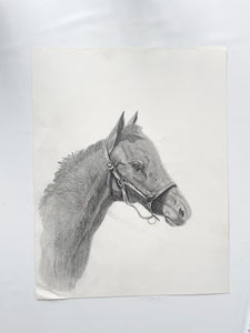 Original Horse Drawing