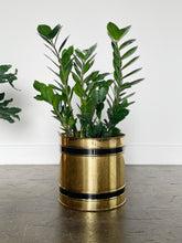 Load image into Gallery viewer, Large Brass Planter
