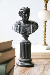 Early 20th Century Grand Tour Style  Bust