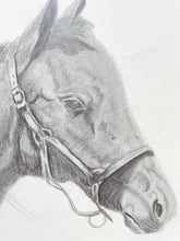 Load image into Gallery viewer, Original Horse Drawing
