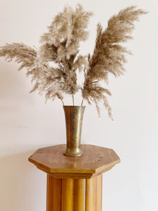 Set of Three Super Fluffy Pampas Grass Stems