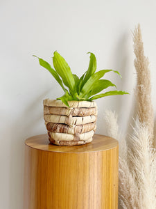 Woven Banana Leaf Planter