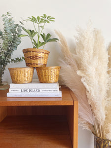 Set of Three Woven Planter Baskets