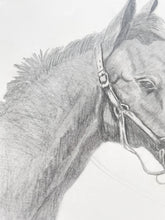 Load image into Gallery viewer, Original Horse Drawing
