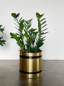 Large Brass Planter