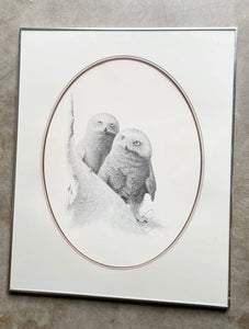 Framed Owl Print Signed by Robert Blair