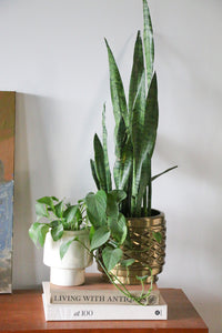 Brass Planter