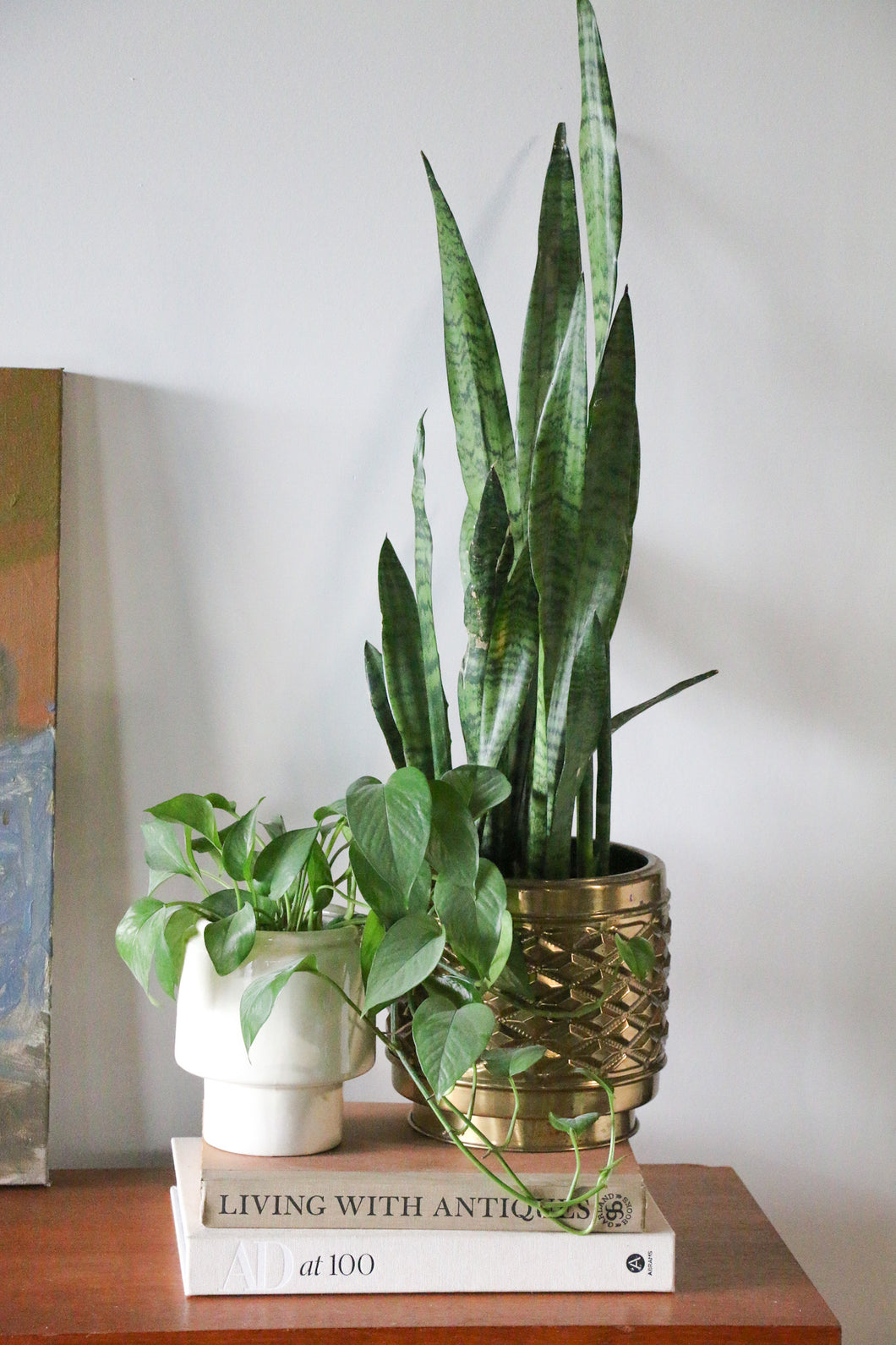 Brass Planter