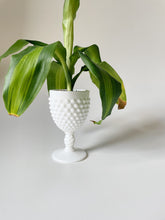 Load image into Gallery viewer, Hob Knob Milk Glass Planter
