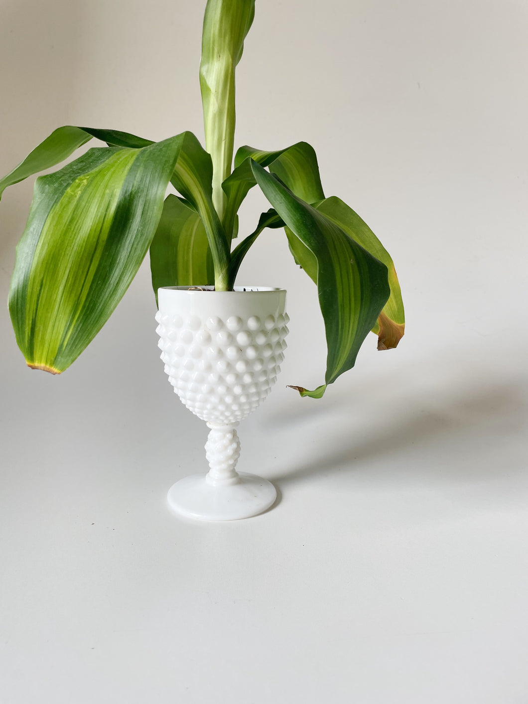 Hob Knob Milk Glass Planter