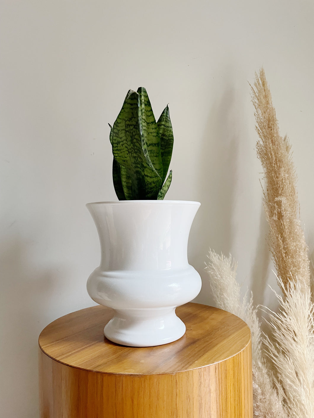 White Resin Planter