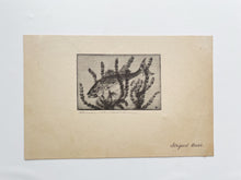 Load image into Gallery viewer, “Striped Bass” Drypoint and Etching by Benson B. Moore
