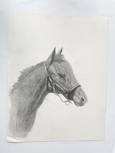 Original Horse Drawing