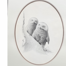 Load image into Gallery viewer, Framed Owl Print Signed by Robert Blair
