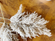 Load image into Gallery viewer, Set of Three Super Fluffy Pampas Grass Stems
