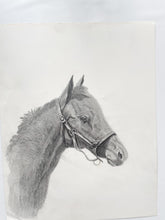 Load image into Gallery viewer, Original Horse Drawing
