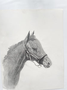 Original Horse Drawing