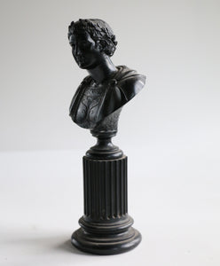 Early 20th Century Grand Tour Style  Bust