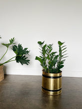 Load image into Gallery viewer, Large Brass Planter
