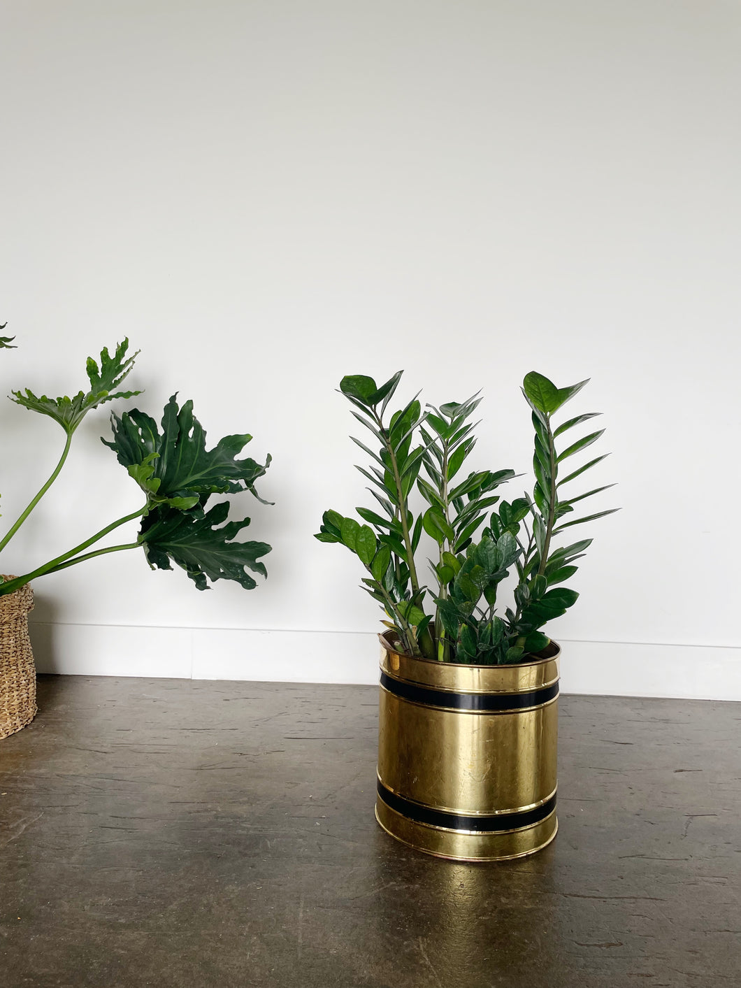 Large Brass Planter