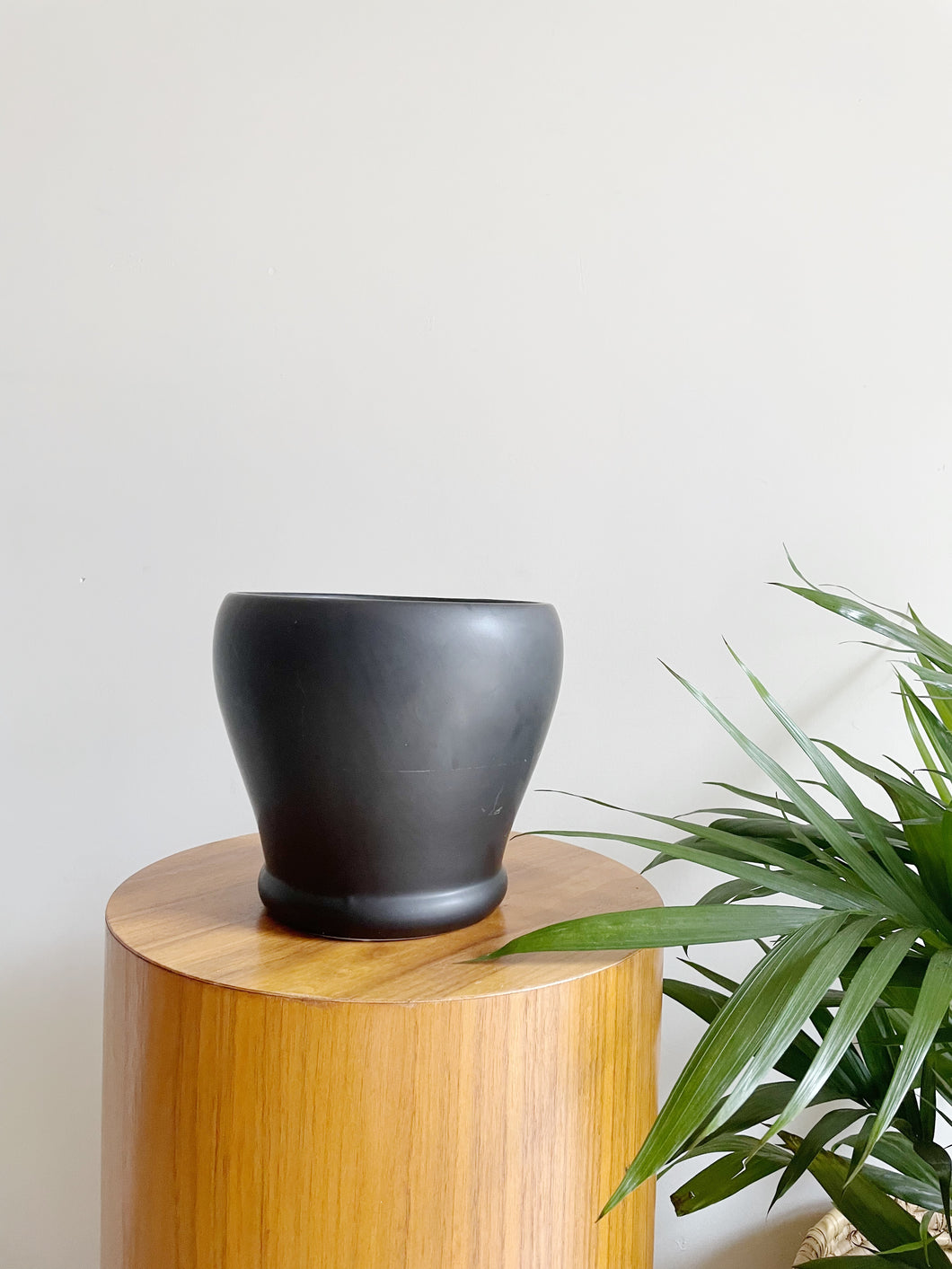 Black Ceramic Planter