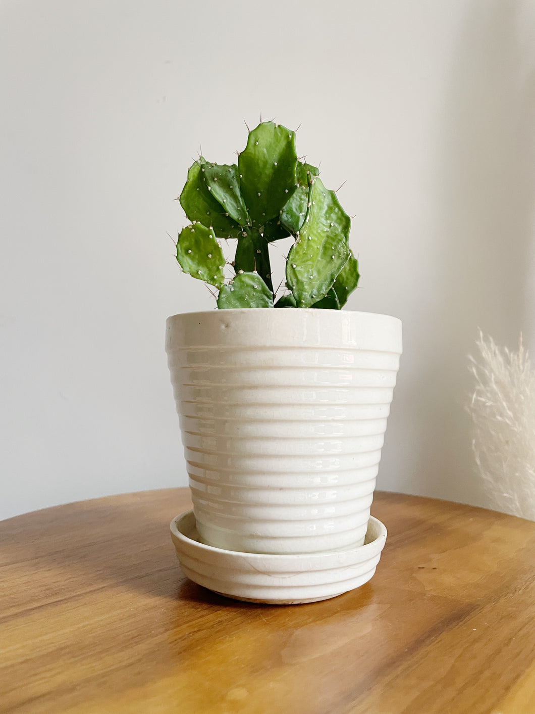 Small Ribbed White Planter